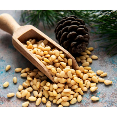 ΚΟΥΚΟΥΝΑΡΟΨΙΧΑ ΕΙΣΑΓΩΓΗΣ