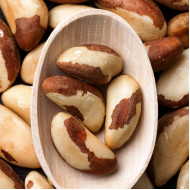 ΜΠΡΑΖΙΛ ΝΑΤΣ ΕΙΣΑΓΩΓΗΣ 