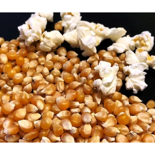 ΚΑΛΑΜΠΟΚΙ ΓΙΑ ΠΟΠ ΚΟΡΝ